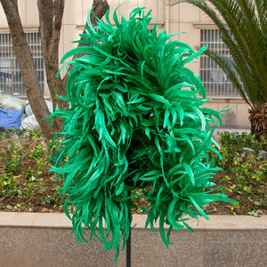 Venta caliente <span class=keywords><strong>2</strong></span> <span class=keywords><strong>metros</strong></span> <span class=keywords><strong>de</strong></span> largo cola <span class=keywords><strong>de</strong></span> gallo Samba Boa danza pluma Boa teñido patrón puesta en escena fiesta decoración precio <span class=keywords><strong>de</strong></span> fábrica - Product Image 2