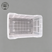 Molde de inyección para cajas de almacenamiento grandes y resistentes, con 20 años de experiencia en logística, para cestas de frutas y verduras.