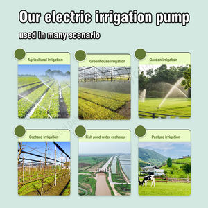 مضخة أنابيب دوران المياه الساخنة والباردة مضخة طرد مركزي بأنبوب عمودي للري - Product Image 5