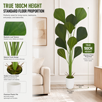 Grande plante artificielle en pot, palmier Sumatra, décoration nordique pour salon, verdure tropicale, vente en gros