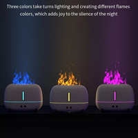 Diffuseur de flamme colorée, aromathérapie, USB et batterie, humidificateur d'air portable pour la maison, l'hôtel, l'extérieur, garantie 1 an