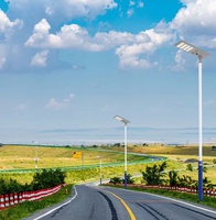 Lampu Jalan Tenaga Surya 500W dengan Sensor Otomatis untuk Penerangan Jalan Desa Vietnam, Hemat Energi, Desain Terpadu, Rating IP65