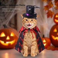Meilleures ventes Alibaba : Ensemble de décoration d'Halloween pour animaux de compagnie – Chapeaux de sorcière, capes et accessoires variés ; Tenues pour chats et chiens de style Europe et Amérique