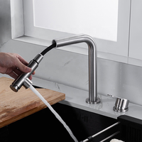 Robinet de cuisine escamotable à deux trous en acier inoxydable 304 avec pulvérisateur escamotable
