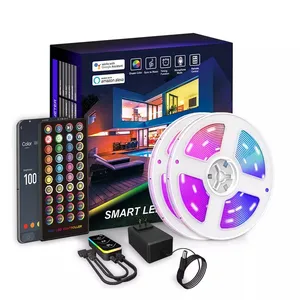 알렉사 구글 홈 LED 스트립 APP 제어 방수 24VDC 1A 24W 10M 스마트 플렉시블 RGB 조명 tuya 스마트 led 스트립