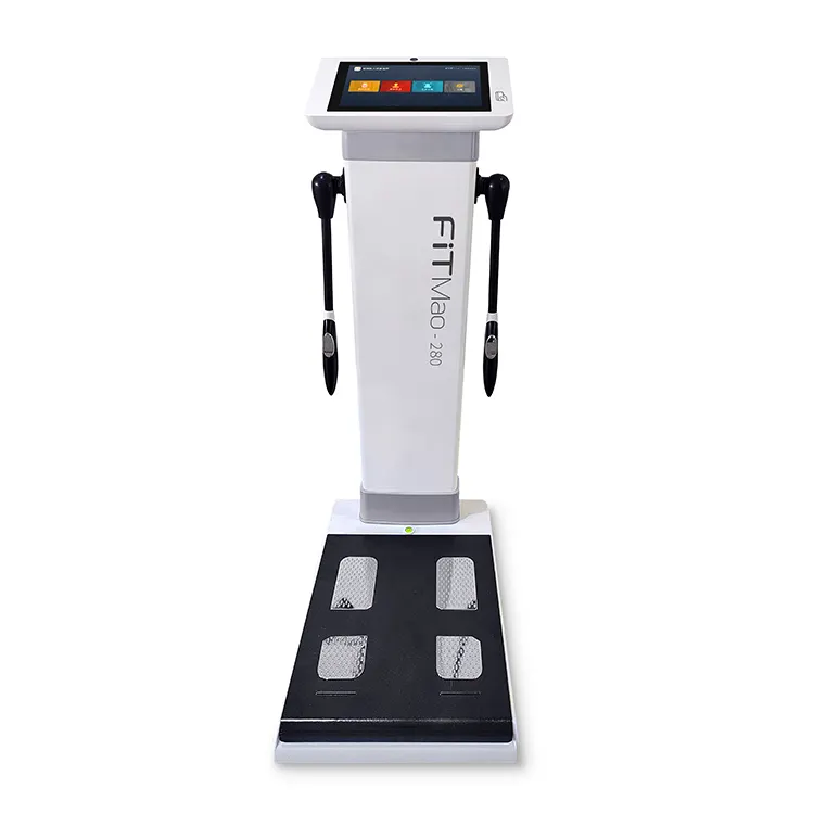 New Design Standing Scale Including Weight Fat Measurement Body Analysis Machine For GYM