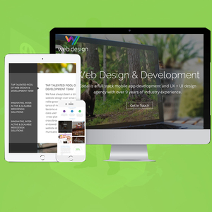 CMS Web Design and Development Company in India | Award Winning CMS Website Design and Development Services by Webroot Infosoft - Product Image 6