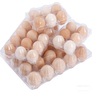 Plateau à œufs transparent en plastique alimentaire multi-trous, 30 alvéoles, pour œufs de poule, vente en gros directe usine - Product Image 4