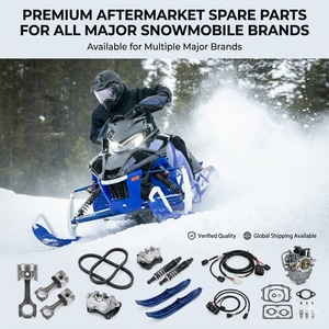 Juego Completo de Juntas con Retenes de Aceite para Ski Doo MX Z <span class=keywords><strong>600</strong></span> Renegade X 600RS <span class=keywords><strong>600</strong></span> ETEC OE 711303, Piezas para Moto de Nieve - Product Image 5