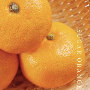 <span class=keywords><strong>Confiture</strong></span> de Longane en Gros, personnalisation OEM pour commerçants mondiaux - Product Image 3