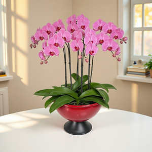 Maceta de estilo chino con forma de tazón, de hierro, de boca ancha, para plantas decorativas de interior, para el hogar, escritorio o suelo. - Product Image 4