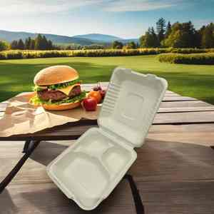 Papel desechable y plancha de pulpa de caña de azúcar para comida, aperitivos para pizza, sándwich, hamburguesa, galleta, comida para mascotas - Product Image 5