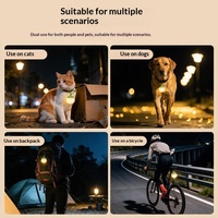 Collier lumineux LED rechargeable en silicone de type C pour animaux de compagnie, clignotant, sécurité nocturne, anti-perte, pour chats et chiens, promenade nocturne