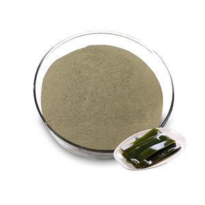 Extrato de Alga Laminaria <span class=keywords><strong>Natural</strong></span> em Pó <span class=keywords><strong>Fucoidan</strong></span> Grau Alimentício 1kg Tambor Embalado a Vácuo - Product Image 1