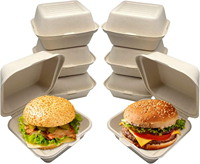 Boîte à hamburger jetable en bagasse de canne à sucre - Biodégradable, résistante à la graisse, pliable, qualité alimentaire, taille et couleur personnalisables