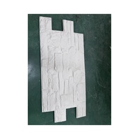 Panneaux muraux en pierre artificielle NEU imperméables et ignifuges pour l'intérieur et l'extérieur, panneaux muraux décoratifs en PU pour l'extérieur