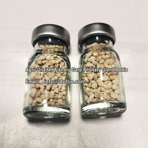 Extracto de carpas Pituitary, Cyprinus <span class=keywords><strong>carpio</strong></span>/cyprainidae - Product Image 2