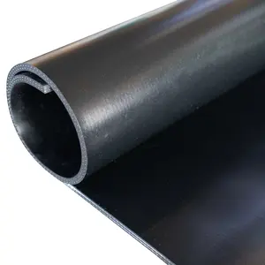 High Quality Industrial Rubber Sheet Food-Grade With Solid Surface Custom Cutting And Moulding Processing Services