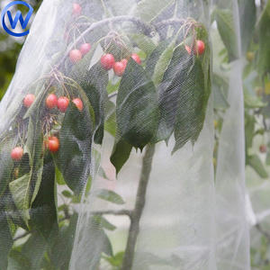 <span class=keywords><strong>Filet</strong></span> anti-insectes pour cerises agricoles, <span class=keywords><strong>protection</strong></span> des plantes et des légumes, <span class=keywords><strong>filet</strong></span> anti-insectes, couverture anti-mouches des fruits, <span class=keywords><strong>filet</strong></span> anti-insectes pour cerises - Product Image 1