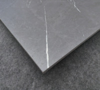 Matériaux de construction : Carreaux de céramique modernes classiques 60x60 avec surface en porcelaine mate, fonction brique réfractaire pour mur extérieur, usage villa, carreaux de sol carrés