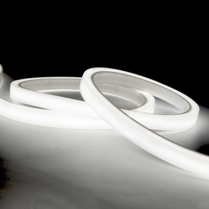 Marine <strong>Lights</strong> Swimming <strong>Pool</strong> Linear <strong>Lights</strong> UV Resistant Saltwater Resistant Waterproof IP68 Flexible <strong>LED</strong> Neon <strong>Strip</strong> <strong>Lights</strong> - Product Image 6