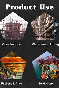 Para ALLMAN, polipasto de cadena eléctrico tipo ER de alta calidad de 5 toneladas y 7,5 toneladas con freno magnético lateral, polipasto de Metal de nueva construcción - Product Image 3