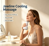 Marteau à glace double tête en acier inoxydable avec prise US pour le visage, le corps et les jambes/bras, pour le rajeunissement de la peau et les soins des yeux