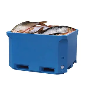 Récipient de pêche isolé à double paroi, grand format, 600 litres, isolé, en hdpe, robuste, pour le transport