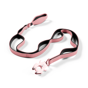 Il più popolare in metallo Clip Custom Logo colori scala guinzaglio cane comodo Neoprene imbottito multipll maniglia - Product Image 1