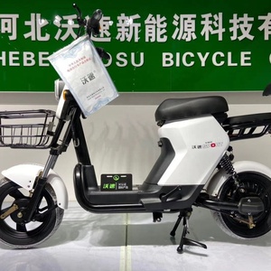 Vélo Électrique E-Bike Chine 500W 48V 20Ah pour Livraison - Product Image 4