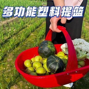 Cesta de plástico con asa para recoger frutas y verduras y drenarlas - Product Image 4
