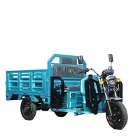 Tricycle électrique motorisé robuste à 3 roues, certifié CEE, 60V 1000W, avec carrosserie ouverte personnalisable, vente en gros de Chine à prix abordable