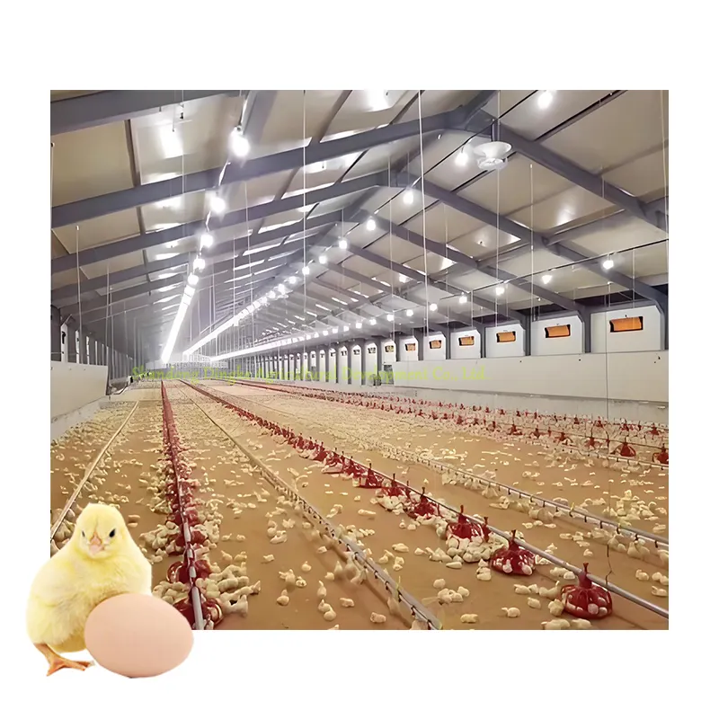 Avicolo allevamento di pollame attrezzature di alimentazione a vite vassoio automatico uccello capezzolo acqua bevitore per polli azienda agricola