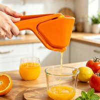 Eco-vriendelijke ABS plastic handmatige citroenenpers, opvouwbaar, draagbaar fruitgereedschap voor de keuken
