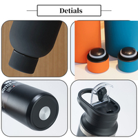 Bouteille d'eau isotherme en acier inoxydable à double paroi TY 500 ml, isolation thermique 6-12 heures, couleur personnalisée, petite ouverture, sport