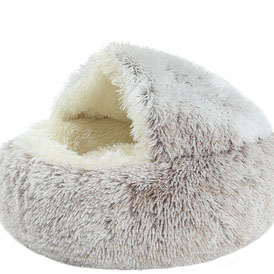 6 intérieur avec peluche