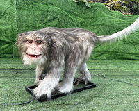 Paon animatronique grandeur nature avec mouvements et sons