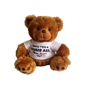 custom personalised design your own fluffy teddy bear maker with name stuffed bear embroidered brand with teddy bear logo