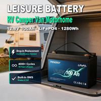 Batterie LiFePO4 TPENERGY 100Ah 12.8V pour stockage solaire, camping-car, caravane, bateau, loisirs