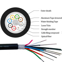 Kabel Serat Optik Single Mode G.652D untuk Saluran Bawah Tanah Luar Ruangan, Jaket GYTA PE/MDPE/HDPE, Bersertifikasi CE, Hitam, 2-288 Core Terlilit