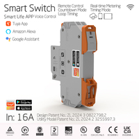 Disjoncteur intelligent CXJ29-32 32A 2P Mini WiFi avec compteur d'énergie en plastique, surveillance kWh, relais temporisé, capacité de coupure 6kA, montage sur rail DIN