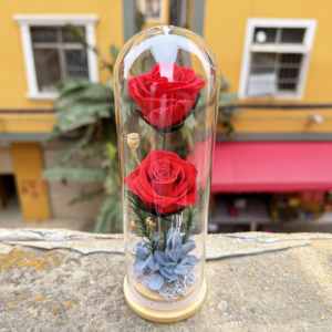 Ingrosso fiore conservato naturale immortale rosa eterna fiore conservato <span class=keywords><strong>Rose</strong></span> in vetro - Product Image 4
