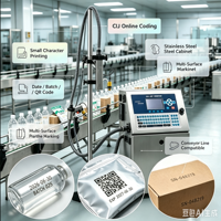 Vente directe usine – Machine de codage jet d'encre continu CIJ 0433, type pompe électrique pour l'impression de dates de production sur cartons