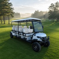 Carrito de Golf Eléctrico de 8 Plazas, Motor de CA de 4kW, Batería de Litio, Tracción Trasera, Neumáticos Todoterreno, Vehículo Turístico para Recorridos, Servicio de Transporte para Hoteles, Resorts y Parques