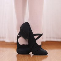 BW08 Chaussures de danse à talons souples pour femmes, chaussures de danse folklorique classique professionnelles pour adultes, chaussures d'entraînement pour professeurs de danse
