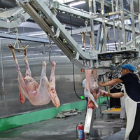 Solution industrielle d'abattage du bétail, ligne de transformation de la viande de chèvre et d'agneau