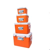 LIHENG Coffrets isothermes carrés personnalisés 5/13/27/45L, lot de 4, pour pique-niques, pêche et barbecue
