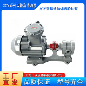 Fabricante de Bombas de Engranajes 2CY-1.08/2.5 Bomba de Engranajes de Hierro Dúctil Eléctrica Rotativa para Transferencia de Aceite Lubricante - Product Image 5