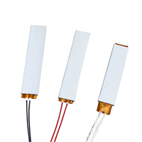 Aislamiento de superficie de Material de aluminio, elemento de calefacción de temperatura constante PTC, 12V