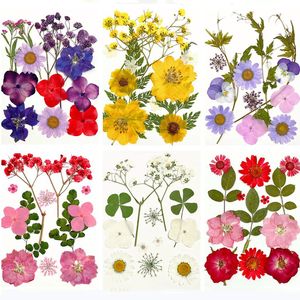 Gepresste Blumen für Harz-Lesezeichen Rahmen-Mixpacks DIY Kunsthandwerk Natürliche Pflanzen Umweltfreundlich - Product Image 2